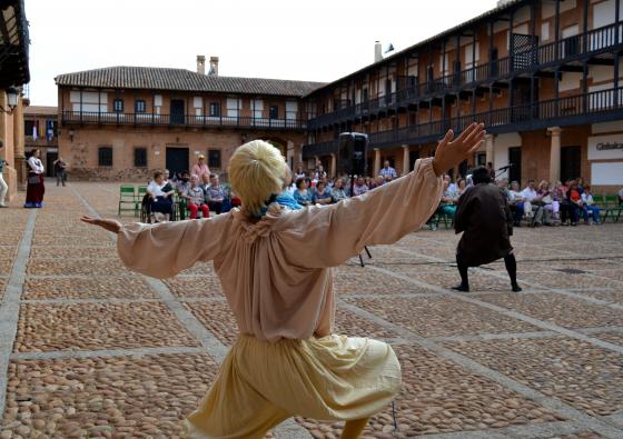 Reivindican la inclusión del Campo de Montiel en los actos del IV Centenario de la 2ª Parte del Quijote 2015