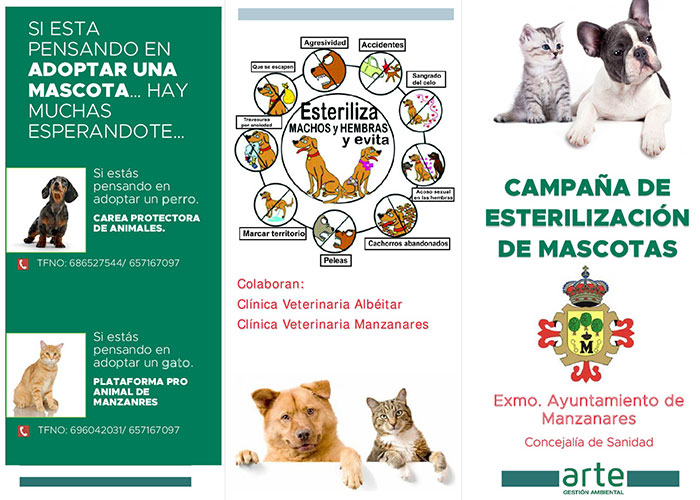Campaña municipal sobre los beneficios de esterilizar a las mascotas