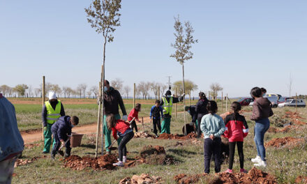 El alumnado de los colegios de Manzanares colabora en la reforestación de la Vereda de Siles
