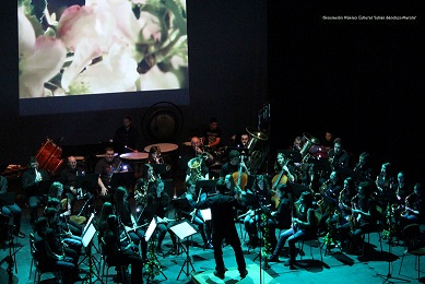 “Laniakea” triunfa en el Gran Teatro con su original puesta en escena
