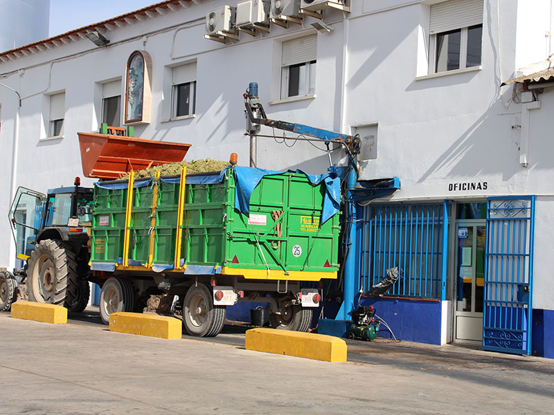 La Cooperatica Santa Catalina agradece la confianza de sus socios en la entidad
