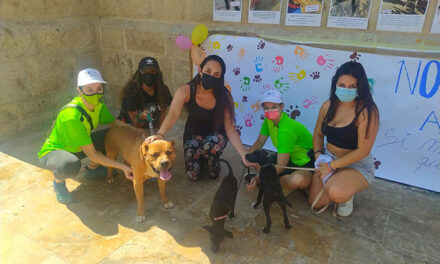Valdepeñas promueve en una jornada la adopción de animales del Centro Municipal Canino