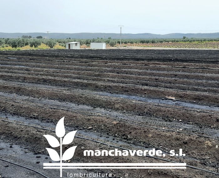Manchaverde S.L: Uno de los mayores  productores de humus de lombriz de Europa