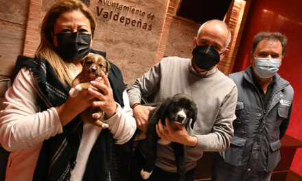 El Centro Municipal Canino de Valdepeñas anima a la adopción en Navidad