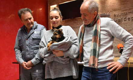<strong>El Centro Municipal Canino de Valdepeñas vuelve a animar a la adopción en Navidad</strong>