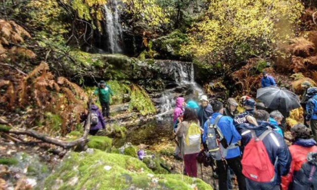 ‘La Solana Camina’ arranca una nueva temporada de rutas y otras actividades