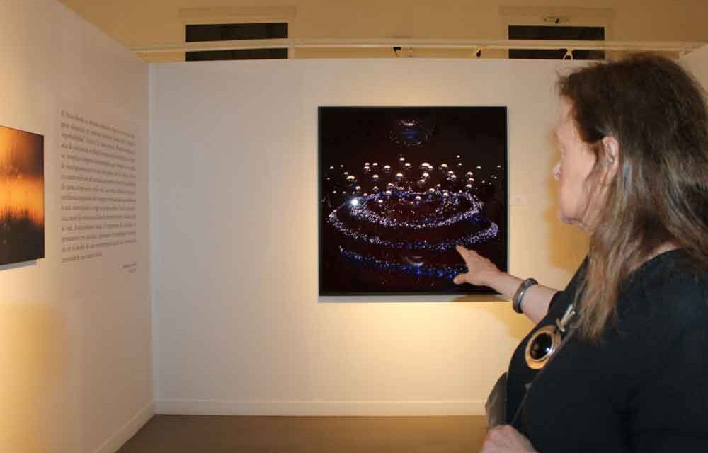 Inaugurada la exposición de la artista visual Patricia Allende ‘Ver lo que jamás fue escrito’ en el Museo de Arte Contemporáneo