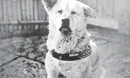 Hace 100 años (Noviembre 1923): Nace Hachiko, el perro fiel