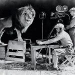 Siete leones han pasado por la MGM