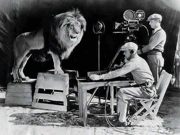 Siete leones han pasado por la MGM