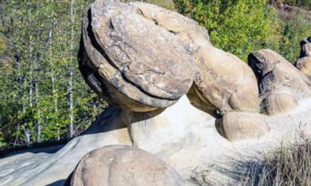 En Rumania las piedras crecen