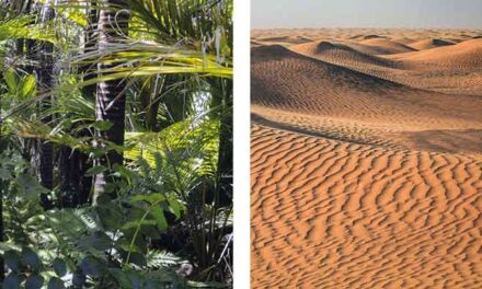 El Sahara era una selva tropical