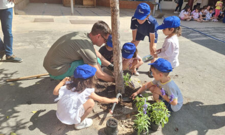 Escolares re naturalizan su patio dentro de la XX Semana del Medio Ambiente