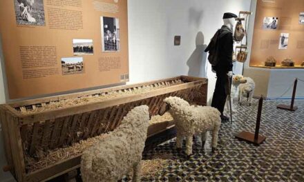La feria y fiestas, una ocasión para descubrir los museos, la iglesia de la Asunción y el universo