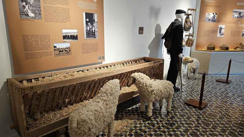 La feria y fiestas, una ocasión para descubrir los museos, la iglesia de la Asunción y el universo