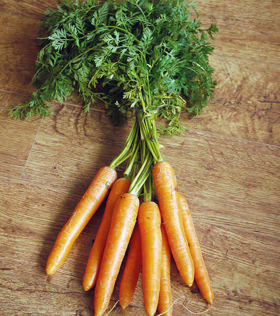 Las zanahorias no eran naranjas