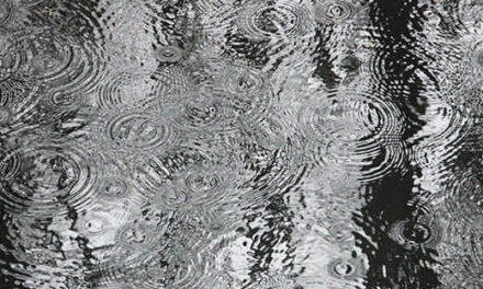 Petricor: El olor de la lluvia